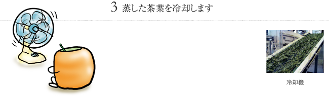 3 蒸した茶葉を冷却します