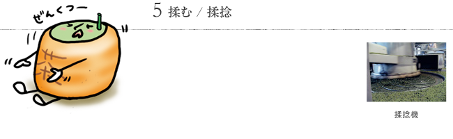 5 揉む / 揉捻